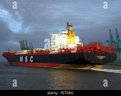 MSC Roberta (Schiff, 1993), IMO 9038907, Hafen von Antwerpen, Belgien pic13 Stockfoto