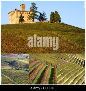 Schloss von Grinzane Cavour gesehen durch Weinberge im Piemont, Norditalien Stockfoto