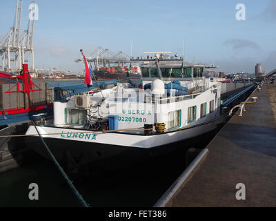 Lurona (Schiff, 1995), ENI 02207080, Hafen von Rotterdam pic3 Stockfoto