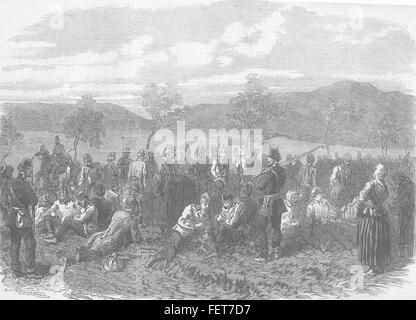 Österreich österreichische Häftlinge aus Schlacht von Sadova 1866. Illustrierte London News Stockfoto