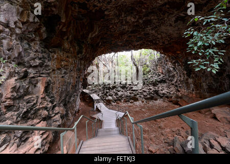 Torbogen Höhle, Undara Lava Tubes, Gulf Savannah, Queensland, Australien Stockfoto