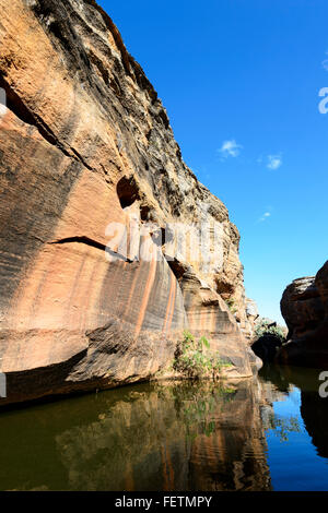 Cobbold Gorge, Robertson River, Howlong Station, Gulf Savannah, Queensland, Australien Stockfoto