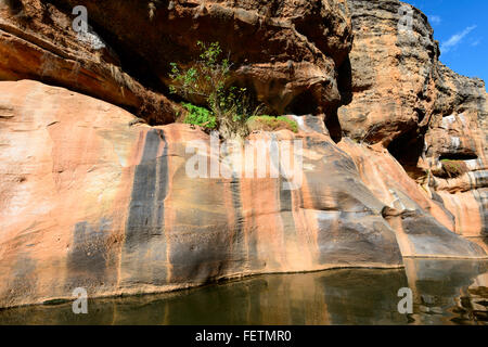 Cobbold Gorge, Robertson River, Howlong Station, Gulf Savannah, Queensland, Australien Stockfoto