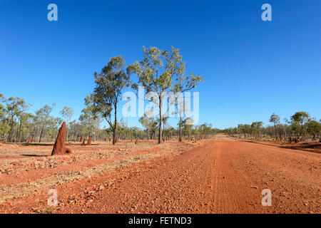 Abgelegenen Feldweg, Gulf Savannah, Queensland, Australien Stockfoto