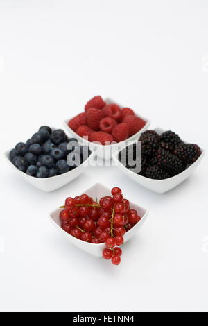 Rote Johannisbeeren, Brombeeren, Himbeeren und Heidelbeeren in weißen Schalen auf einem weißen Hintergrund. Stockfoto