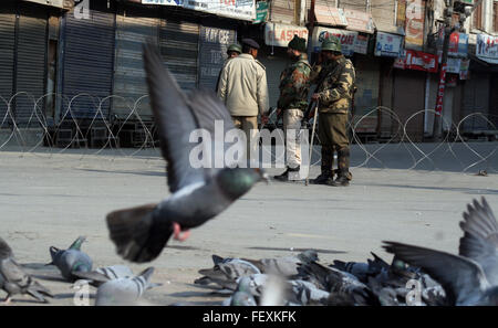 Srinagar, Kaschmir. 9. Februar 2016. Pigens für Suche Essen fliegen, als indische Paramilitärs steht Soldaten bewachen Straßen während einer Ausgangssperre in Srinagar, Indien kontrollierten Kashmir.Curfew schützend als mehrere Gruppen, die zu einem Streik am Jahrestag der Hinrichtung von Afzal Guru, ein Kashmiri, verurteilt und Todesurteil wegen seiner mutmaßlichen Rolle in dem 2001 Angriff auf indischen Parlament Ehre, aufgerufen verhängt wurde: Sofi Suhail/Alamy Live News Stockfoto