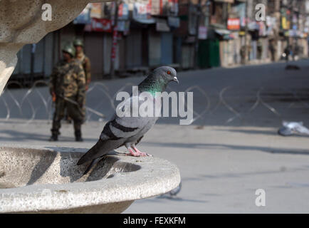 Srinagar, Kaschmir. 9. Februar 2016. Pigens am Brunnen sitzen, als indische Paramilitärs steht Soldaten bewachen Straßen während einer Ausgangssperre in Srinagar, Indien kontrollierten Kashmir.Curfew schützend als mehrere Gruppen, die zu einem Streik am Jahrestag der Hinrichtung von Afzal Guru, ein Kashmiri, verurteilt und Todesurteil wegen seiner mutmaßlichen Rolle in dem 2001 Angriff auf indischen Parlament Ehre, aufgerufen verhängt wurde: Sofi Suhail/Alamy Live News Stockfoto