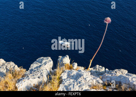 Angelboot/Fischerboot Fang von Fischen im tiefen Wasser der kroatischen Meer in der Nähe von Insel Lastovo. Stockfoto