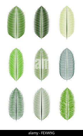 Palm Leaf isoliert Vektor-Illustration Stock Vektor