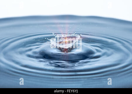 Schöner Spritzer Wasser fallen. Frieren Aktion ein Stockfoto