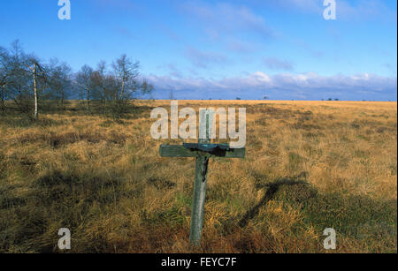 BEL, Belgien, hoch-Moor Hohes Venn, Kreuz, Kreuz, Hochmoor Hohes Venn, Belgien, BEL Stockfoto