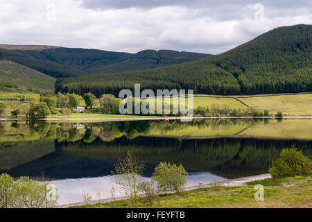 Blick auf St. Marien Loch in Schafgarbe Tal im südlichen Hochland. Selkirk Scottish Borders Schottland UK Großbritannien Stockfoto