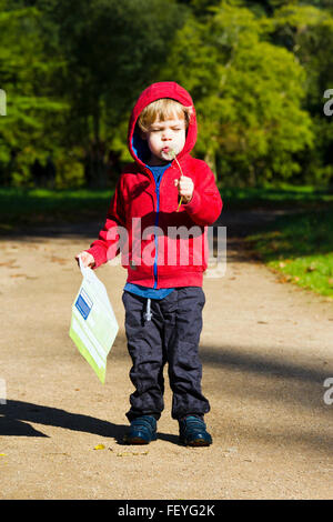 Kleiner Junge bläst die Samen von einem Löwenzahn Stockfoto