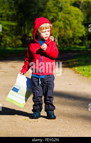 Kleiner Junge bläst die Samen von einem Löwenzahn Stockfoto