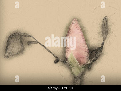Digital manipuliert, Red Rose Knospe Stockfoto