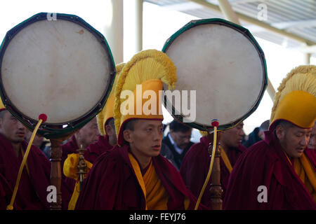 Dharamshala, Indien. 9. Februar 2016. Tibetisch-buddhistische Mönche mit Musikinstrument im Laufe des 1. Tages des tibetischen Neujahrs "Losar" Tsugla Khang Tempel. Tibetische buddhistische Mönche singen die tibetischen Mantras während des 1. Tages des tibetischen Neujahrs "Losar" am Tsugla-Khang-Tempel. Hunderte von tibetischen buddhistischen Mönchen und Tibeter im Exil, einschließlich Mitglieder des tibetischen Parlaments (Kasag) nahm in diesem Gebet. Bildnachweis: Shailesh Bhatnagar/Pacific Press/Alamy Live-Nachrichten Stockfoto