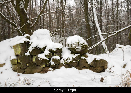 Alte Ruine Steinmauer unter Schnee, Wald im Hintergrund Stockfoto