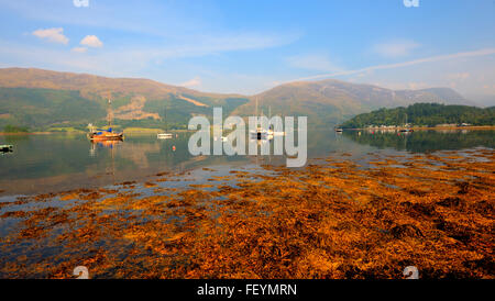 Friedliche Herbst Szene am Loch Leven, West Highlands. Stockfoto