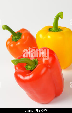 drei bunte Paprika auf weißem Hintergrund Stockfoto
