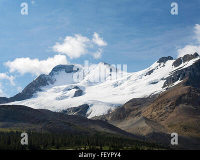 Blick auf das Schneefeld südlich des Athabasca befindet entlang des Icefields Parkway, Jasper Nationalpark, Alberta, Kanada Stockfoto