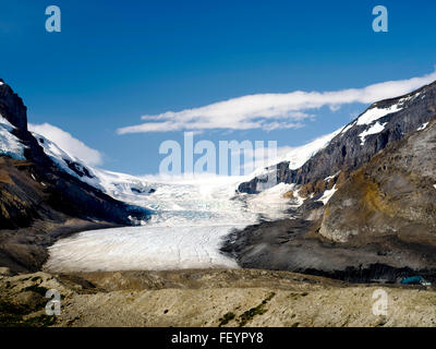 Ansicht des Athabasca befindet entlang des Icefields Parkway, Jasper Nationalpark, Alberta, Kanada, an einem schönen Tag. Stockfoto