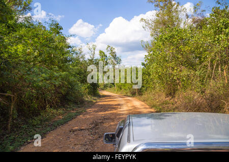 Kui Buri Elephant Nationalpark Thailand. Stockfoto