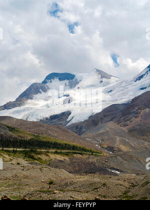 Blick auf das Schneefeld südlich des Athabasca befindet entlang des Icefields Parkway, Jasper Nationalpark, Alberta, Kanada Stockfoto