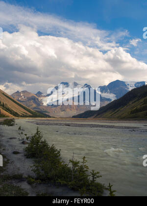 Blick auf das Schneefeld südlich des Athabasca befindet mit dem Sunwapta River in den Vordergrund, entlang Icefields Parkway. Stockfoto