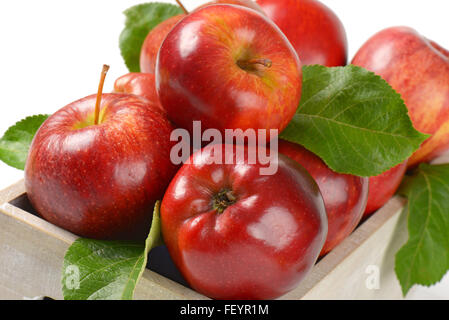 Detail der glänzende rote Äpfel mit Blättern in Holzkiste Stockfoto