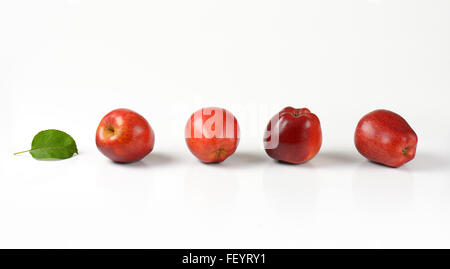 vier Reife rote Äpfel hintereinander auf weißem Hintergrund Stockfoto