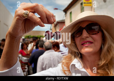 Día De La Cereza, Milagro. Navarra. Spanien Stockfoto