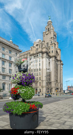 Das Royal Liver Building, Liverpool. Stockfoto