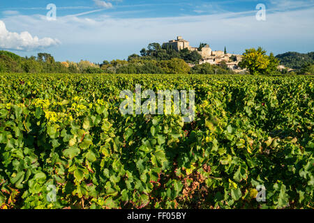 Weinberg, Naturpark Luberon, Ansouis, Frankreich, Vaucluse, Stockfoto