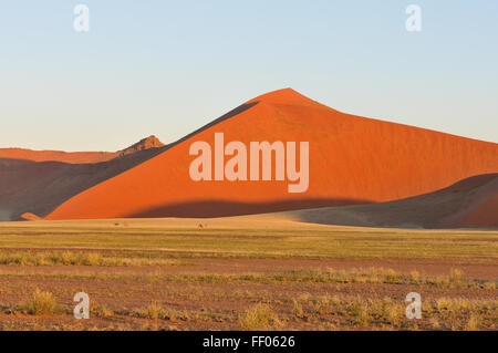 Grass und Oryx in der Aue des Tsaugab River in der Nähe von Sossusvlei, Namibia Stockfoto