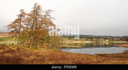 Einen weiten Blick über den Tannen und Kiefern am Ufer des Loch Tulla sowie die schönen stilles Wasserreflexionen über das loch Stockfoto