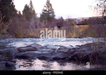 Eine ruhige Aussicht auf Felsen in einem Bach, der unter einer Brücke fließt. Das Wasser fließt sanft über die Felsen und schafft eine friedliche Szene. Bäume säumen die Ufer und spiegeln sich im Wasser. Die natürliche Landschaft unterstreicht die harmonische Mischung aus künstlichen und natürlichen Elementen. Stockfoto