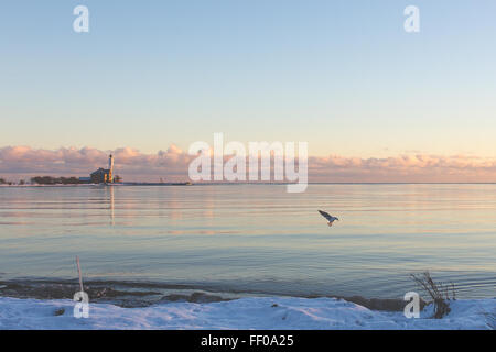 Ein Leuchtturm steht hoch am Rand eines eisigen Sees, umgeben von Schnee und Eis. Das Spiegelbild des Leuchtturms und der bewölkte Himmel sind auf dem stillen Wasser sichtbar, während Möwen in der Ferne über die eisige Landschaft fliegen. Stockfoto