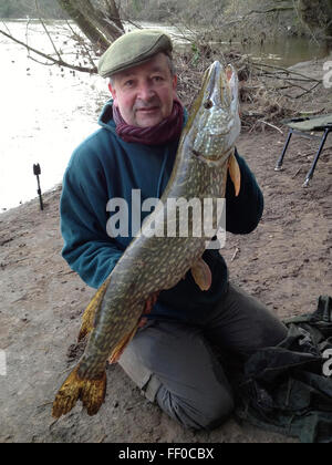 Angler mit 19lb 12oz gefangen Hecht vom Fluss Wye bei The Warren Hay-on-Wye Powys Wales UK. Die Fischerei hat in der Regel von catch &amp; release wieder diese wilde Fische in den Fluss Erhaltung Bestände für die Zukunft. Stockfoto