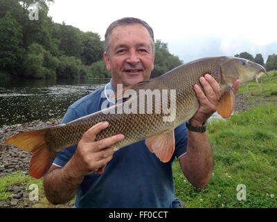 Angler mit 12lb Barben gefangen vom Fluss Wye bei Hay-on-Wye Powys Wales UK. Die Fischerei hat in der Regel von catch &amp; release wieder diese wilde Fische in den Fluss Erhaltung Bestände für die Zukunft. Stockfoto