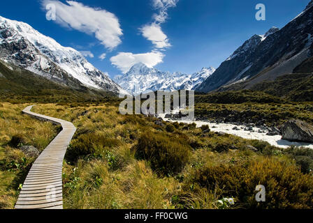 Boardwalk durch Wiese in Hooker Valley Track, Mt Cook, Neuseeland Stockfoto