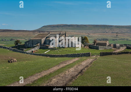 Borrins Farm in der Nähe von Horton in Ribblesdale Stockfoto