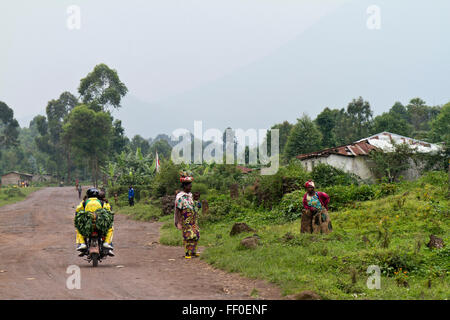 Virunga-Nationalpark, auf der Straße zwischen Goma und Rutshuru Nord-Kivu, demokratische Republik Kongo, demokratische Republik Kongo, Zentral-Afrika Stockfoto