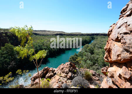 Boodjamulla Nationalpark (Lawn Hill), Queensland, Australien Stockfoto