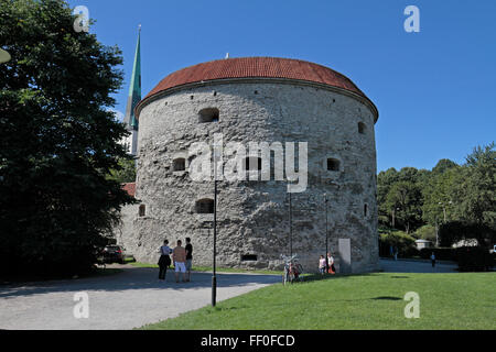 Der Fett Margaret Turm, Heimat der estnischen Schifffahrtsmuseum in Tallinn, Estland. Stockfoto