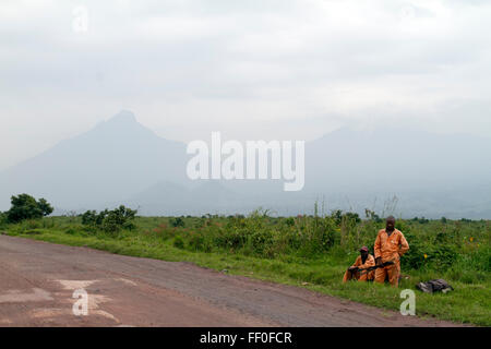 Virunga-Nationalpark, auf der Straße zwischen Goma und Rutshuru, Provinz Nord-Kivu, demokratische Republik Kongo, demokratische Republik Kongo, Zentral-Afrika Stockfoto