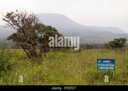 Virunga-Nationalpark, auf der Straße zwischen Goma und Rutshuru Nord-Kivu, demokratische Republik Kongo, demokratische Republik Kongo, Zentral-Afrika Stockfoto