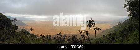 Panoramablick in den Ngorongoro Krater vom Rand oben Stockfoto