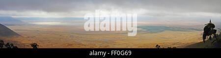 Panoramablick auf den Boden des Ngorongoro Crater in Tansania Stockfoto