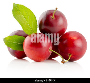 rote Kirschen Pflaumen auf dem weißen Hintergrund isoliert. Stockfoto