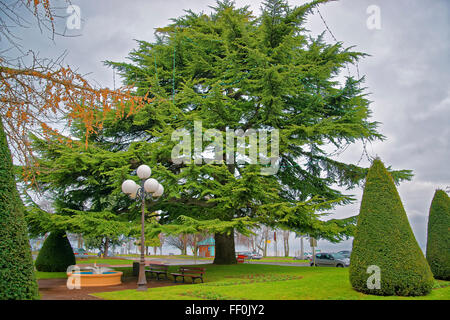 Evian-Les-Bains Streetview in Frankreich zu Weihnachten im winter Stockfoto